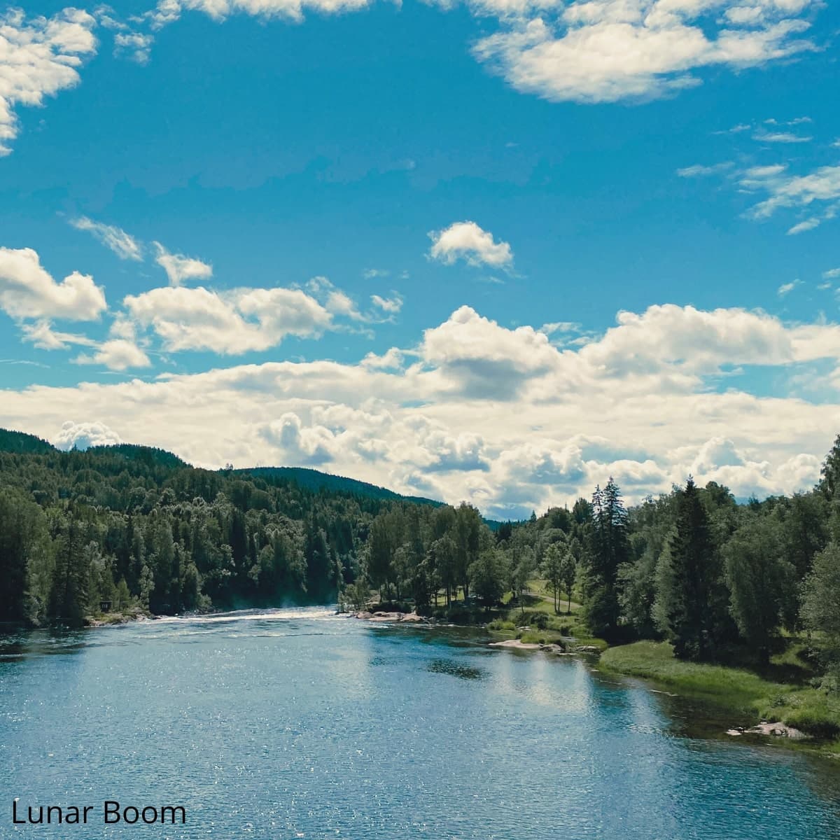 Natures Shake cover art