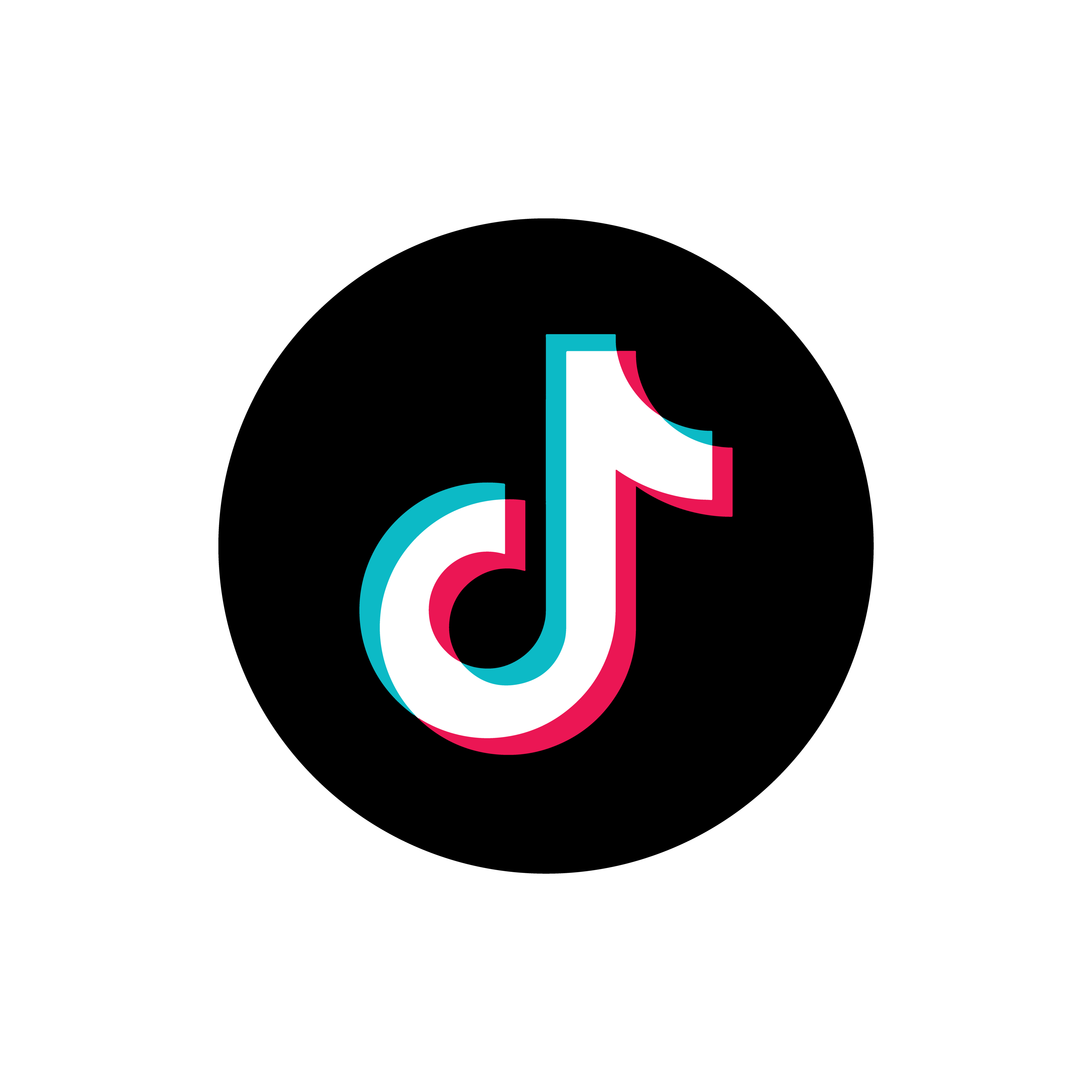TikTok logo
